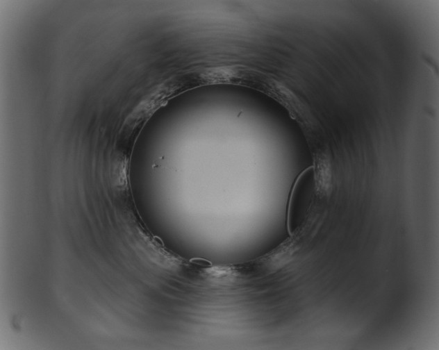 X0000101980477200807181129