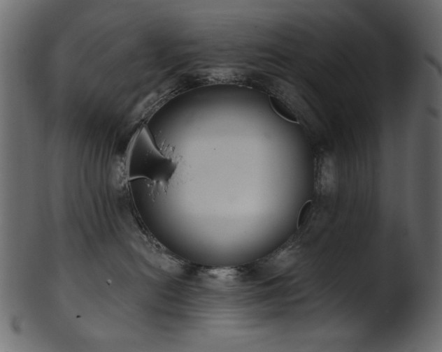 X0000101980478200807181129