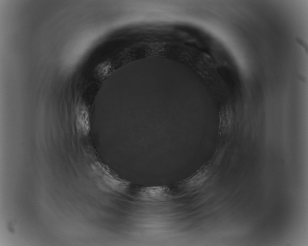 X0000101980479200807181129