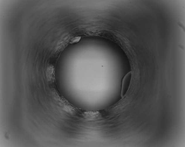 X0000101980480200807181129