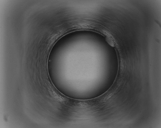 X0000101980481200807181128