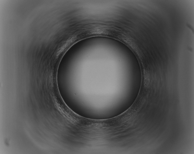 X0000101980482200807181128