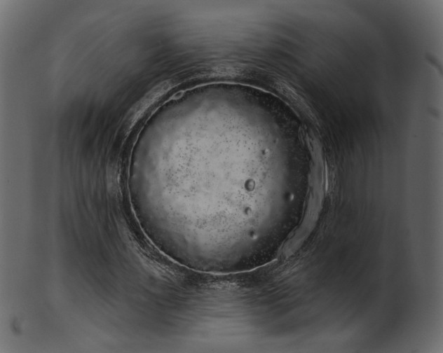 X0000101980483200807181128