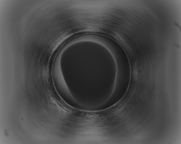 X0000101980484200807181128