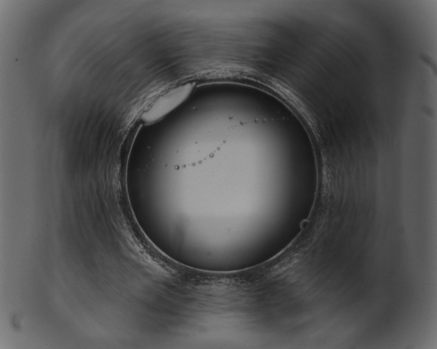 X0000101980485200807181128