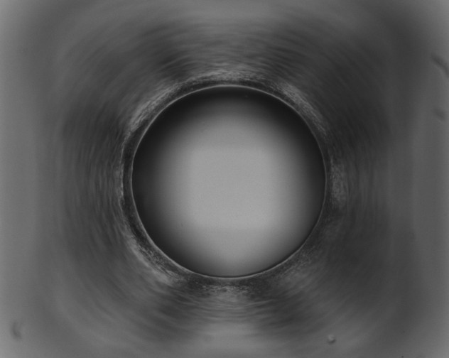 X0000101980486200807181128