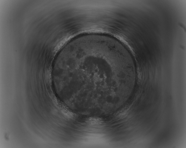 X0000101980487200807181128