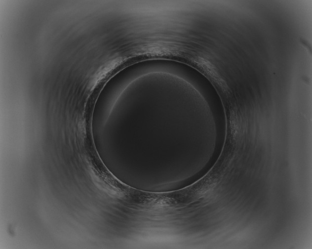 X0000101980488200807181128