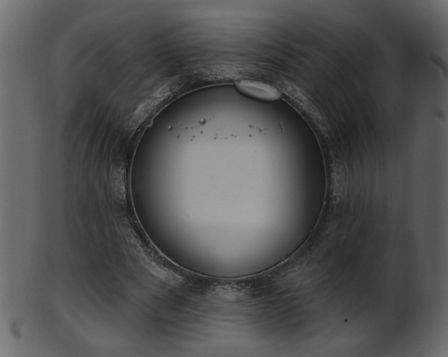 X0000101980489200807181128