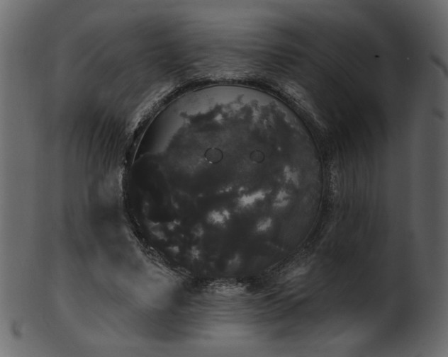 X0000101980491200807181128