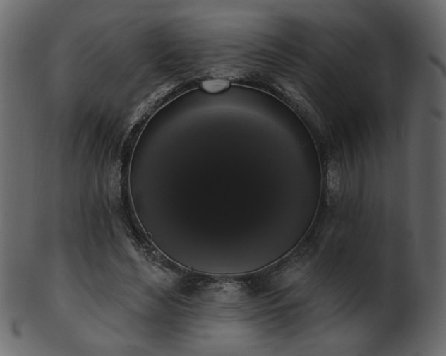 X0000101980492200807181128