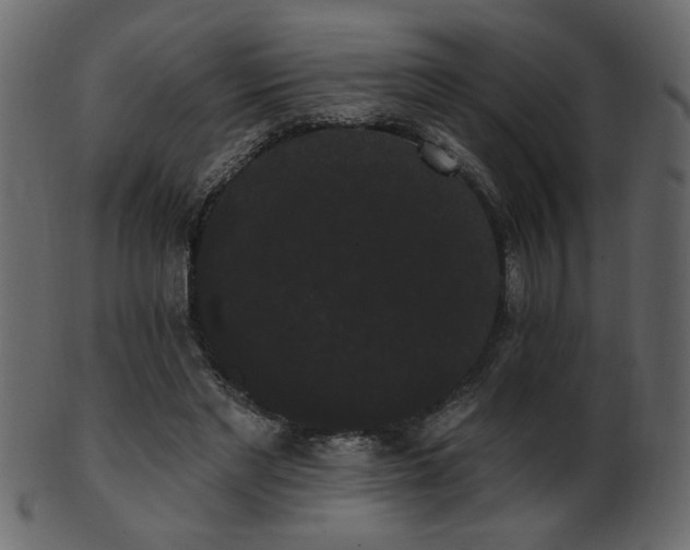 X0000101980493200807181128