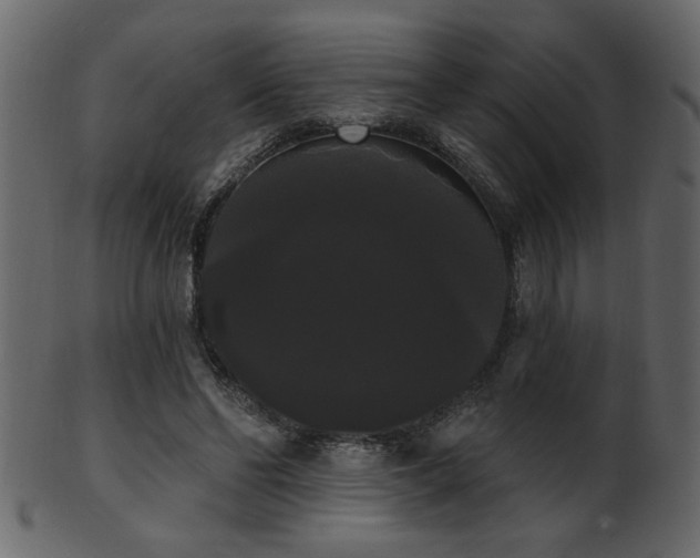 X0000101980494200807181128