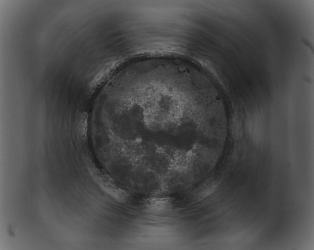 X0000101980495200807181128