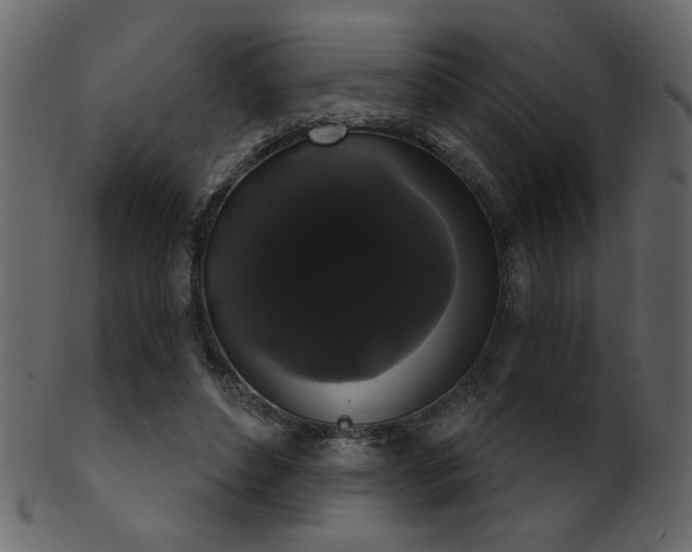 X0000101980496200807181128