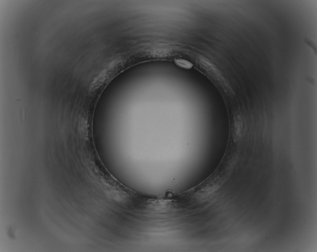 X0000101980497200807181128