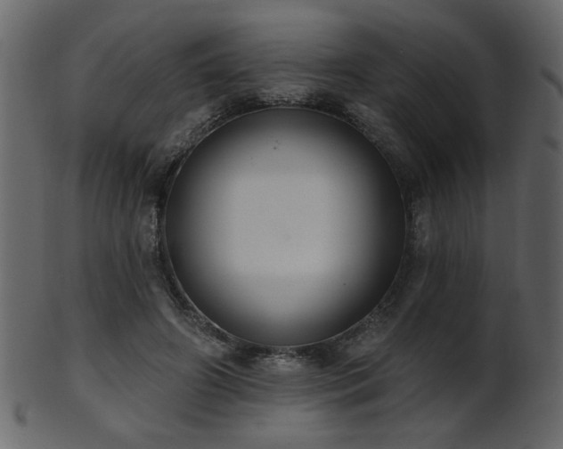 X0000101980498200807181128