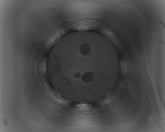 X0000101980499200807181128