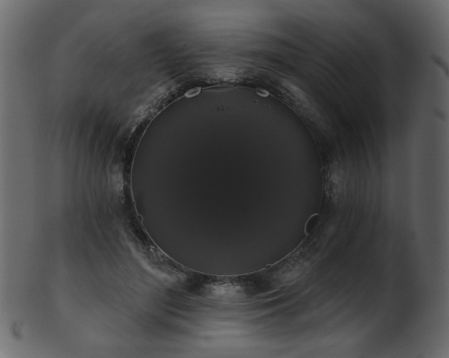 X0000101980500200807181128