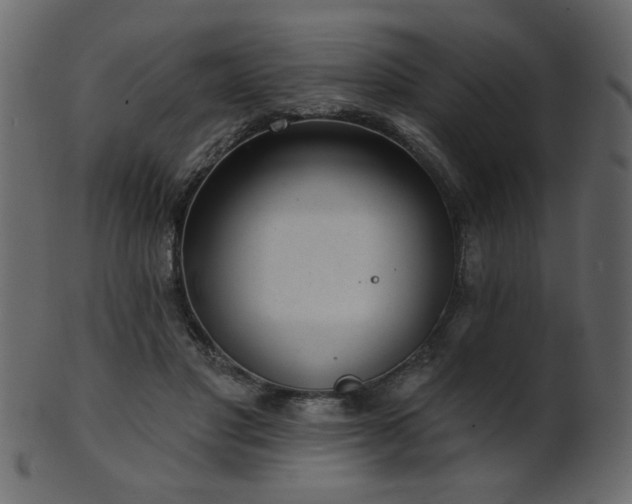 X0000101980501200807181128