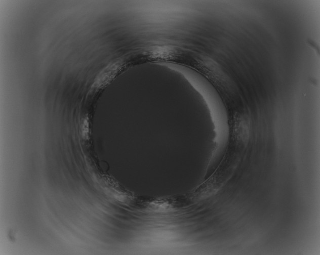 X0000101980502200807181128