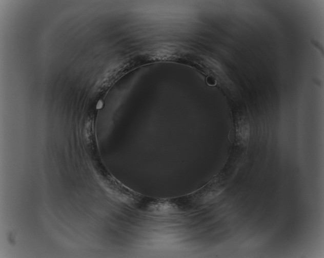 X0000101980503200807181128