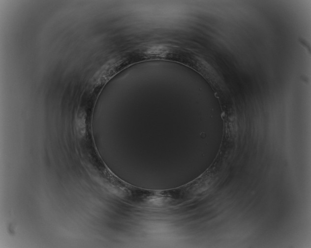 X0000101980504200807181128