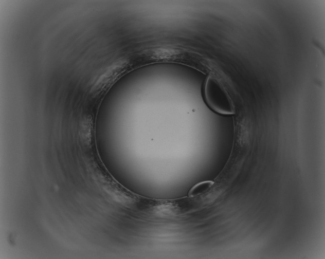 X0000101980505200807181128