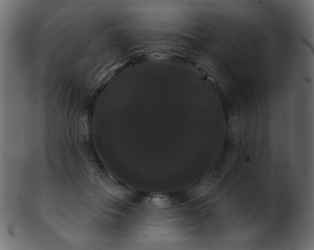 X0000101980506200807181128