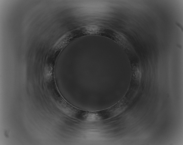 X0000101980507200807181128