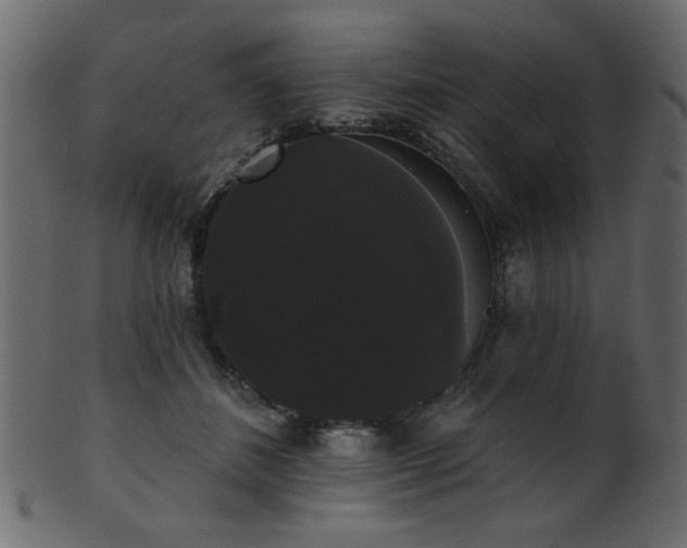 X0000101980508200807181128