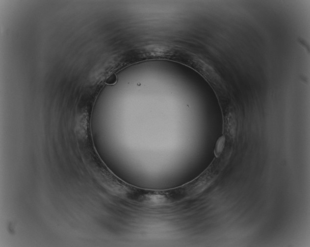 X0000101980509200807181128