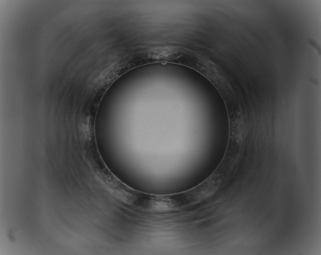 X0000101980510200807181128