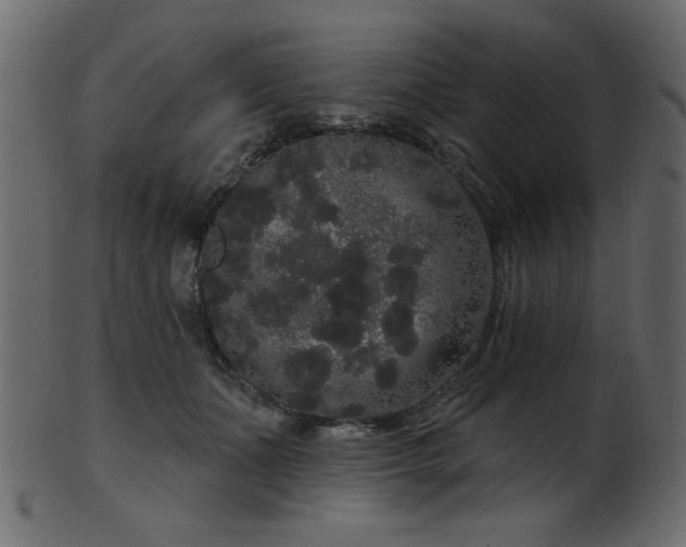 X0000101980511200807181128