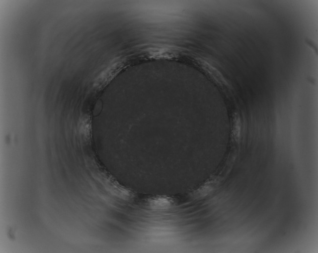 X0000101980513200807181128