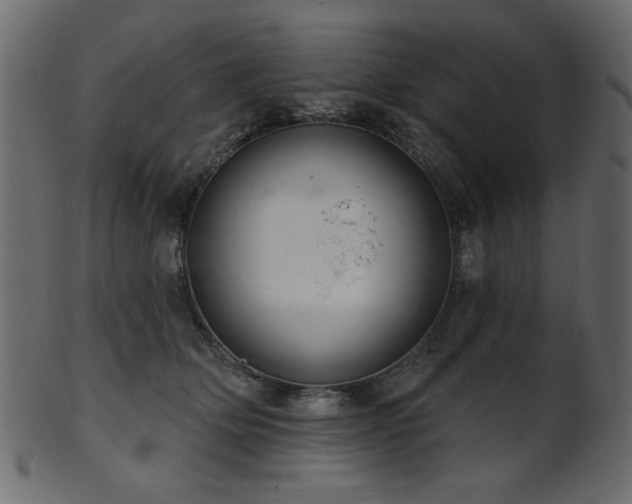 X0000101980514200807181128