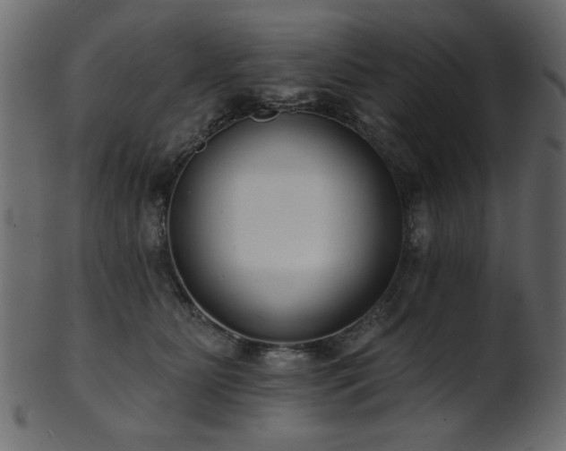 X0000101980515200807181128