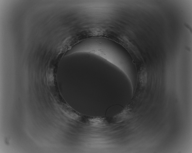 X0000101980516200807181128