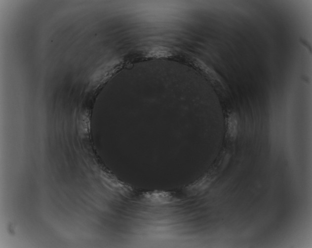 X0000101980517200807181128