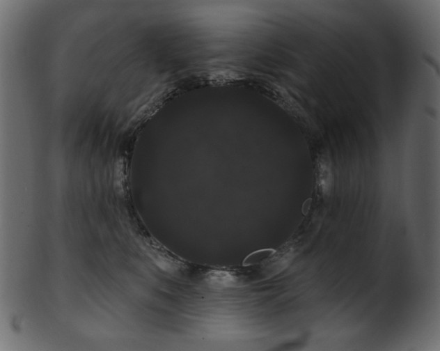 X0000101980519200807181128