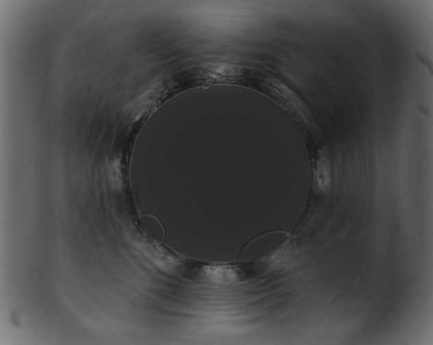 X0000101980520200807181128