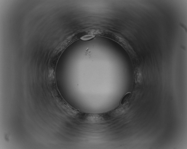 X0000101980521200807181128