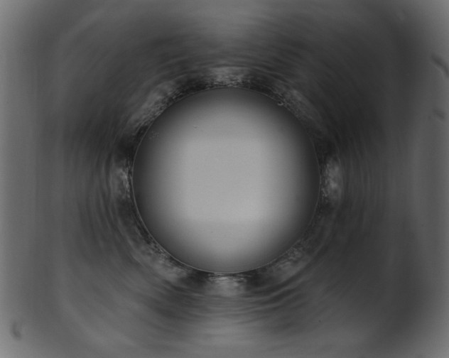 X0000101980522200807181128