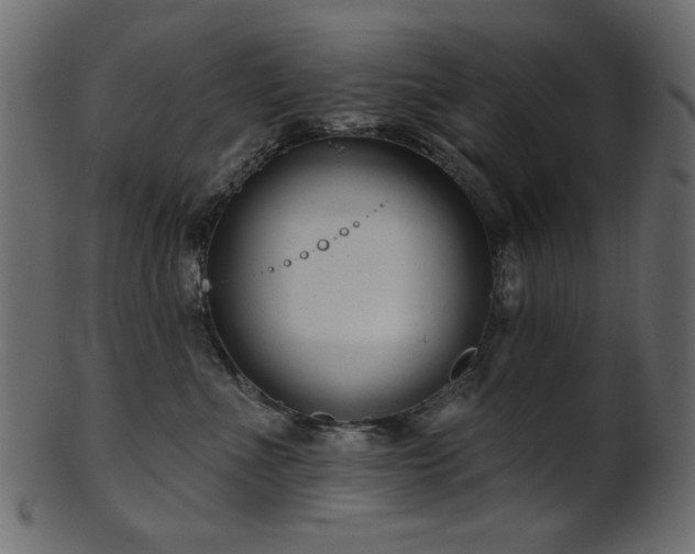 X0000101980523200807181128