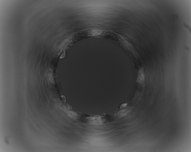 X0000101980524200807181128