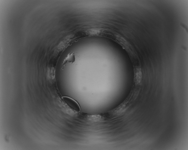 X0000101980525200807181128