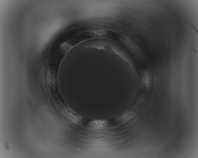 X0000101980526200807181128