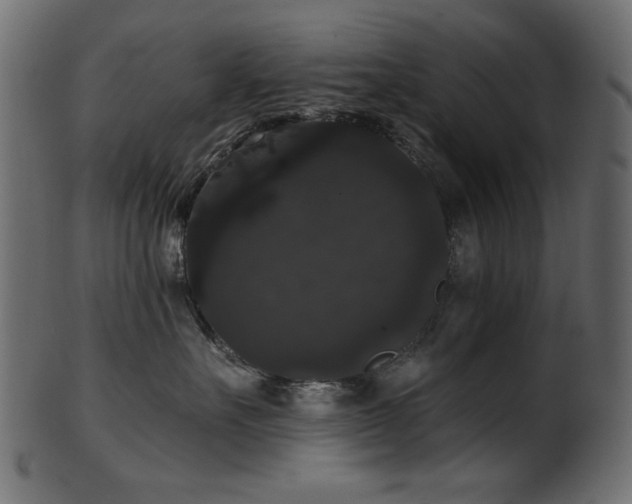 X0000101980527200807181128