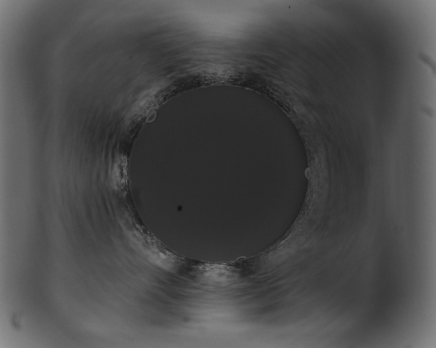 X0000101980528200807181128