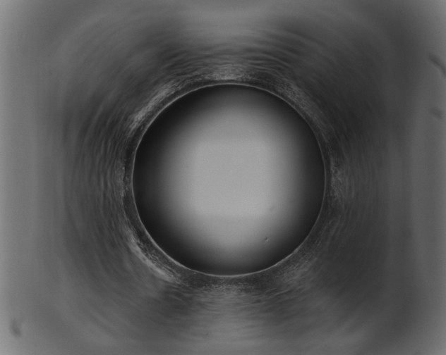 X0000101980530200807181127